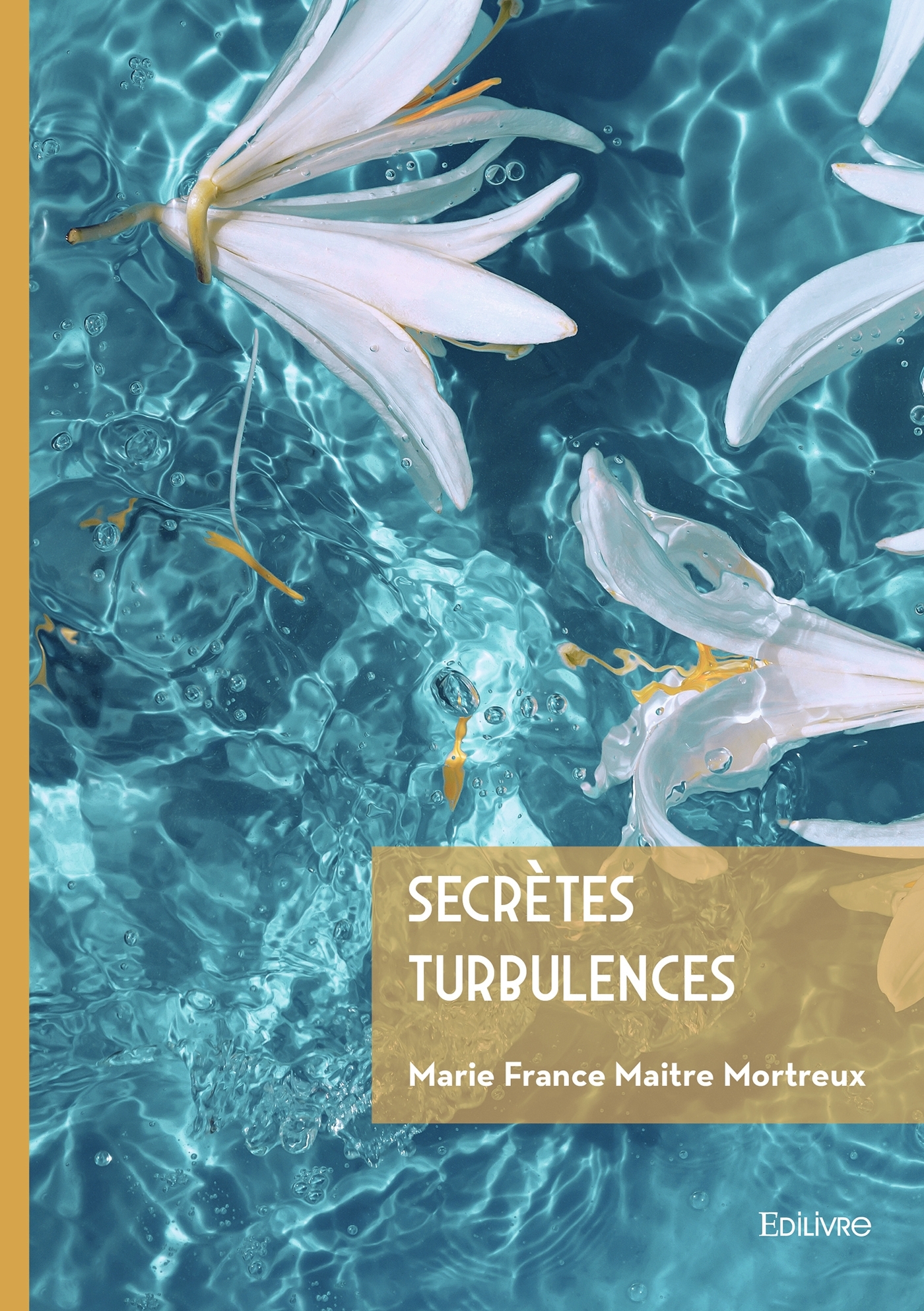 Secrètes Turbulences
