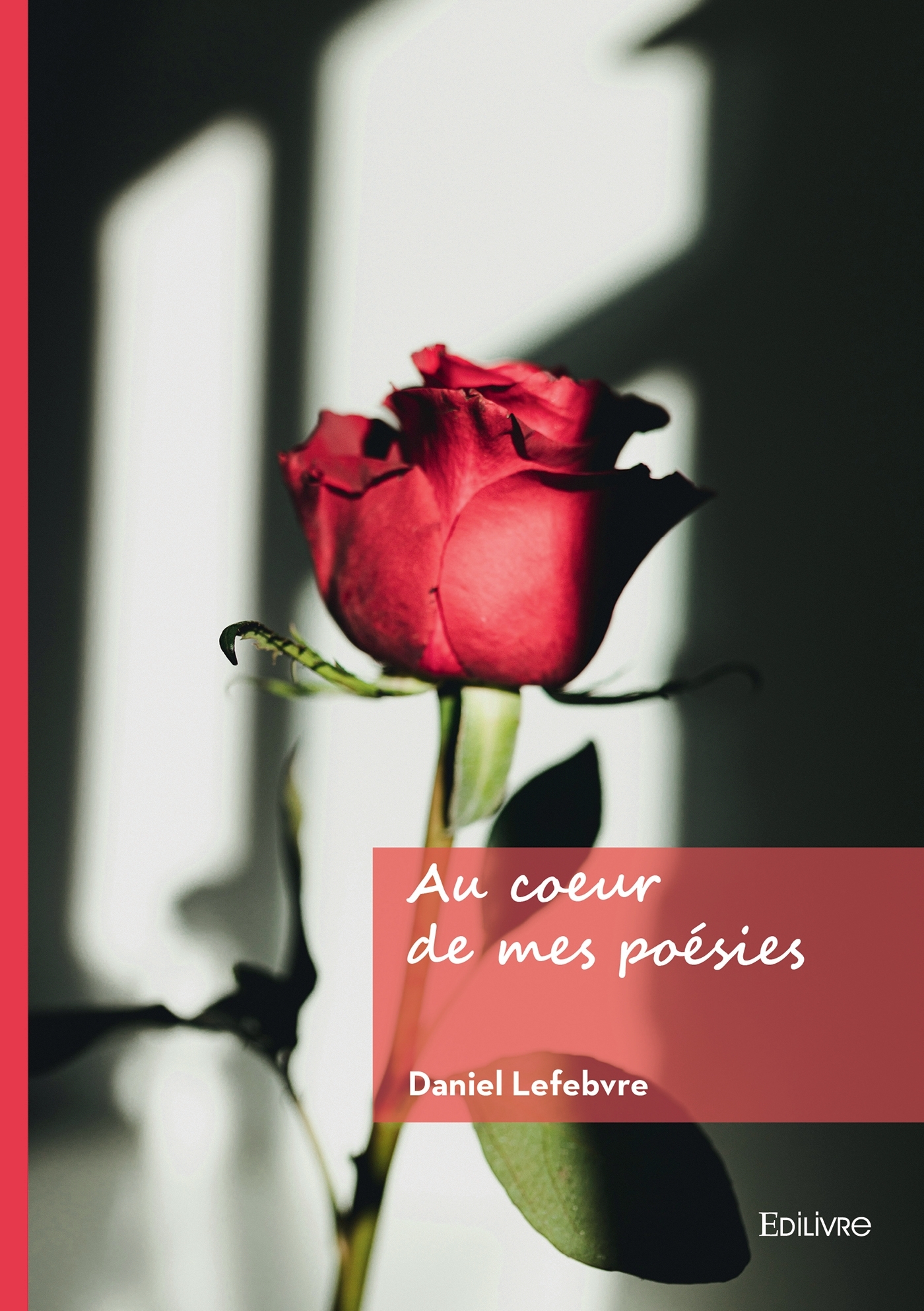Au coeur de mes poésies