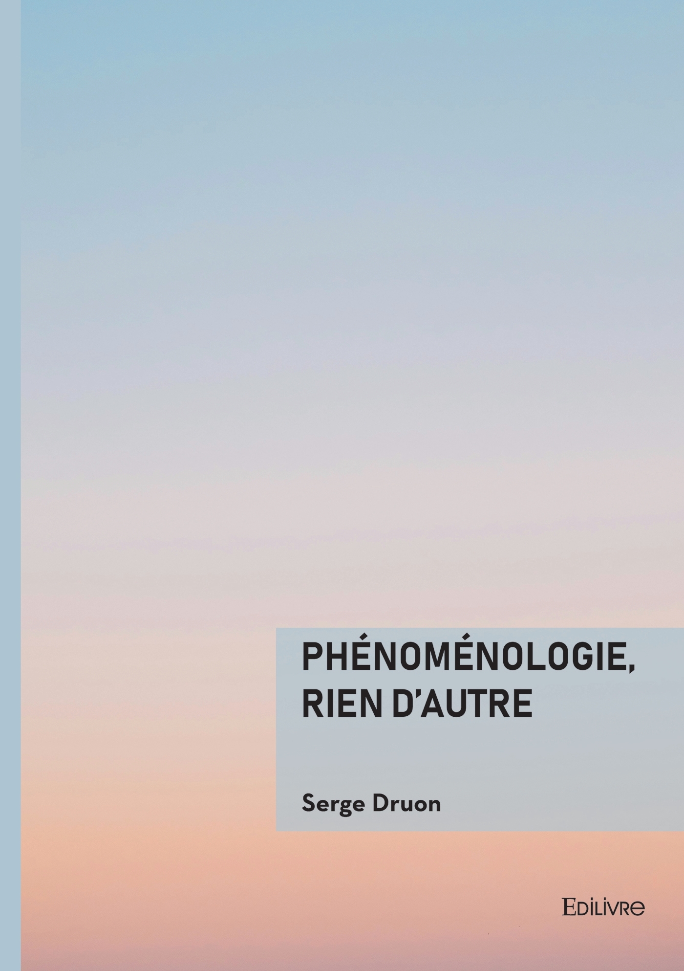 Phénoménologie, rien d'autre