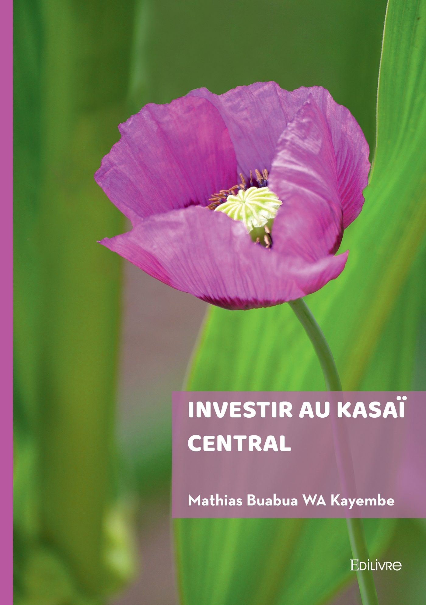 Investir au Kasaï central