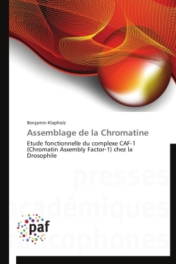 Assemblage de la chromatine