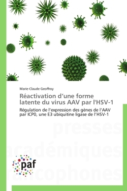 Réactivation d'une forme latente du virus AAV par l'HSV-1