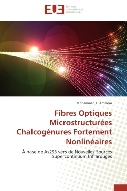 Fibres Optiques Microstructurées Chalcogénures Fortement Nonlinéaires
