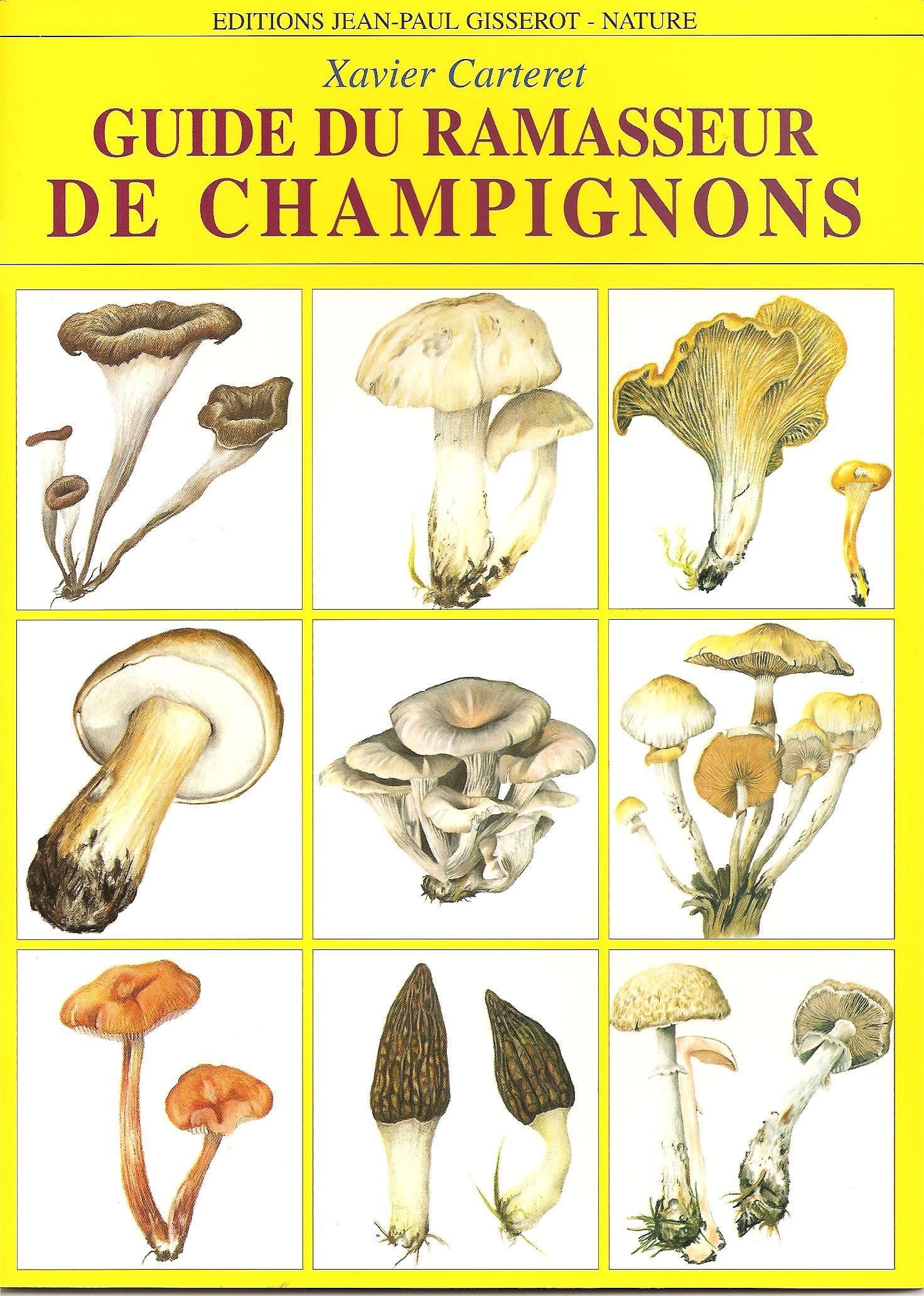 Guide du ramasseur de champignons