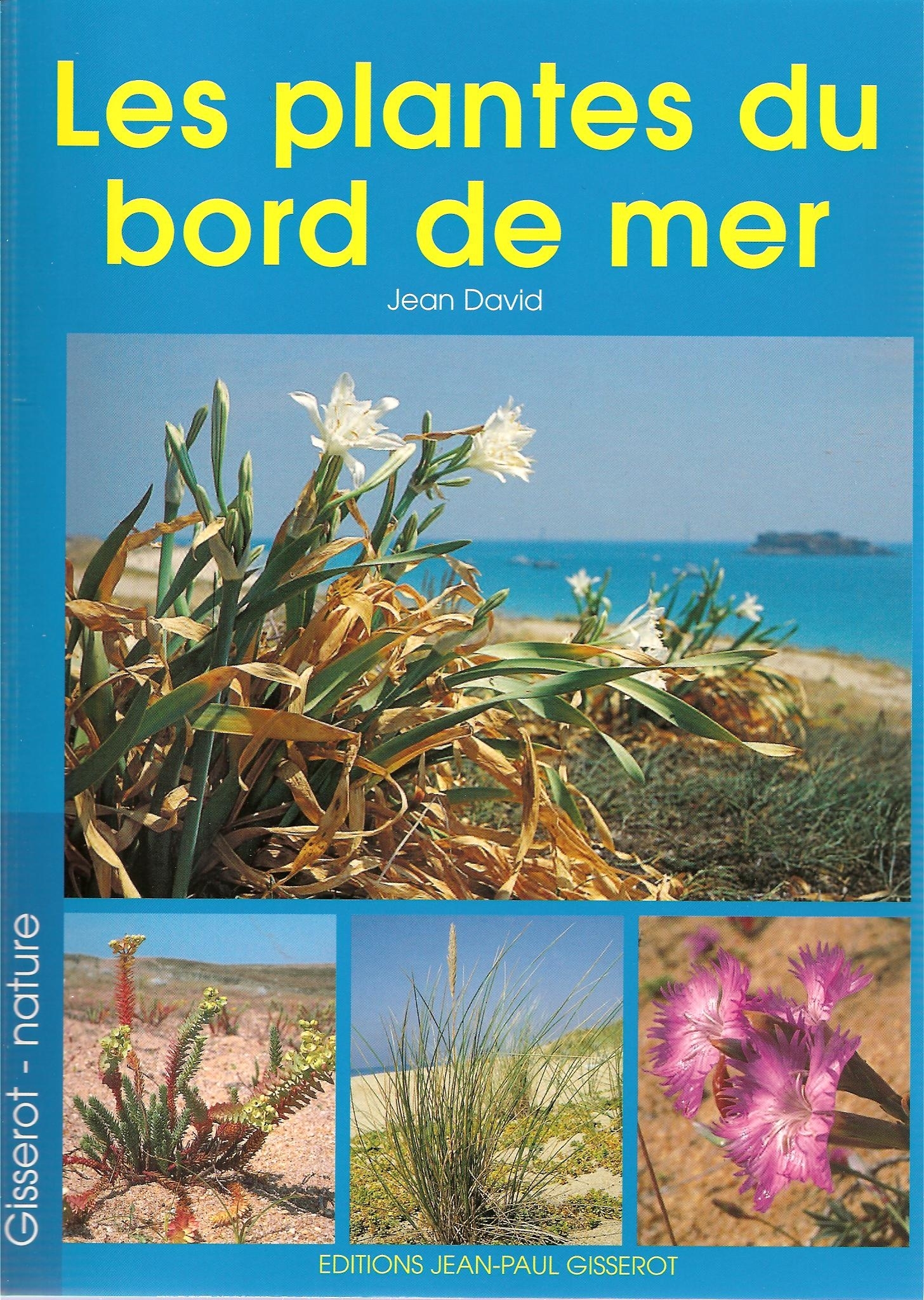 LES PLANTES DU BORD DE MER