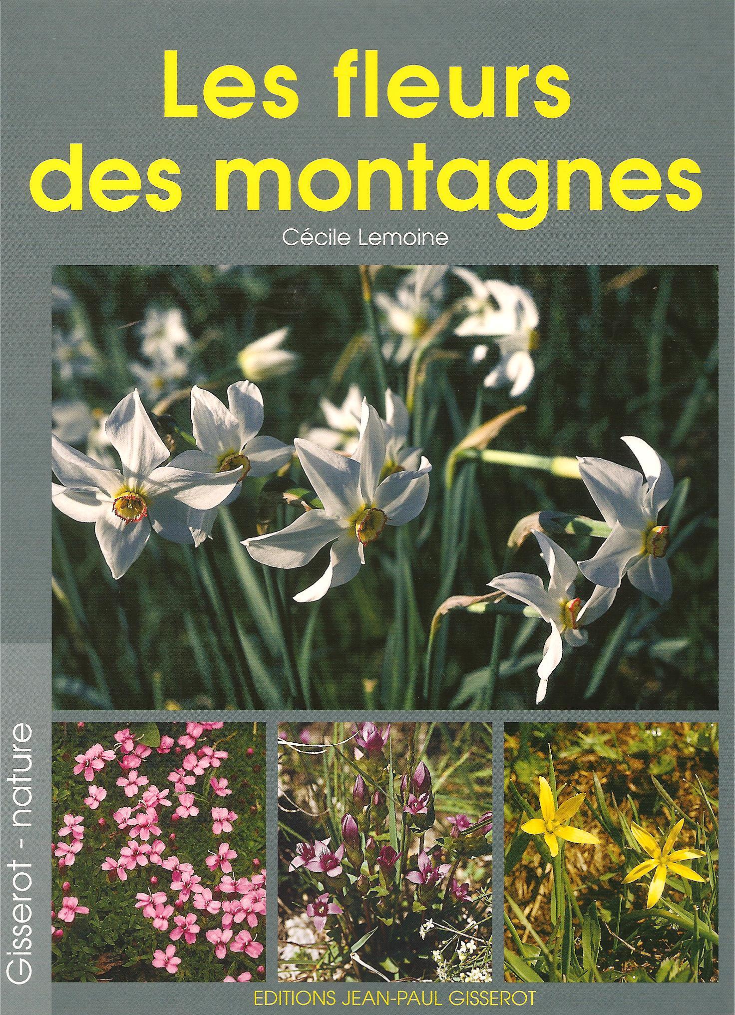 Les fleurs des montagnes