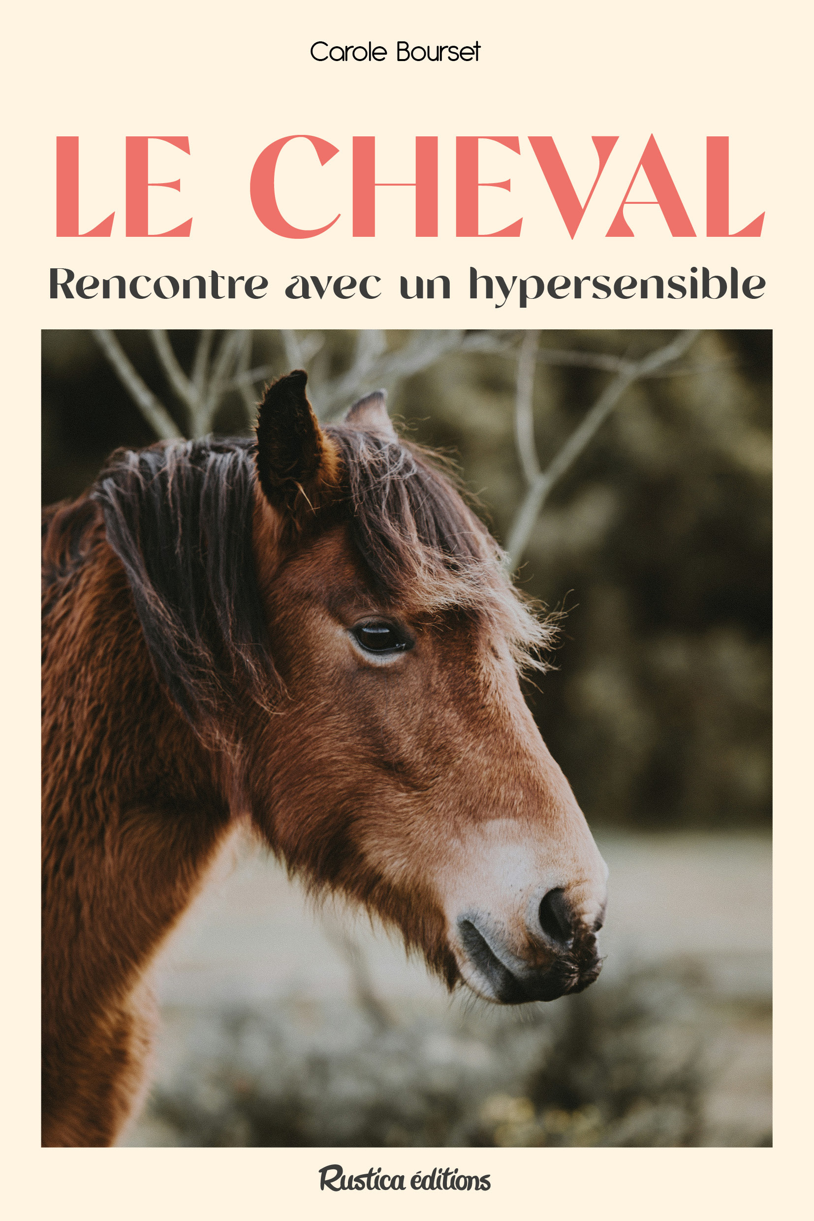 Le cheval : rencontre avec un hypersensible
