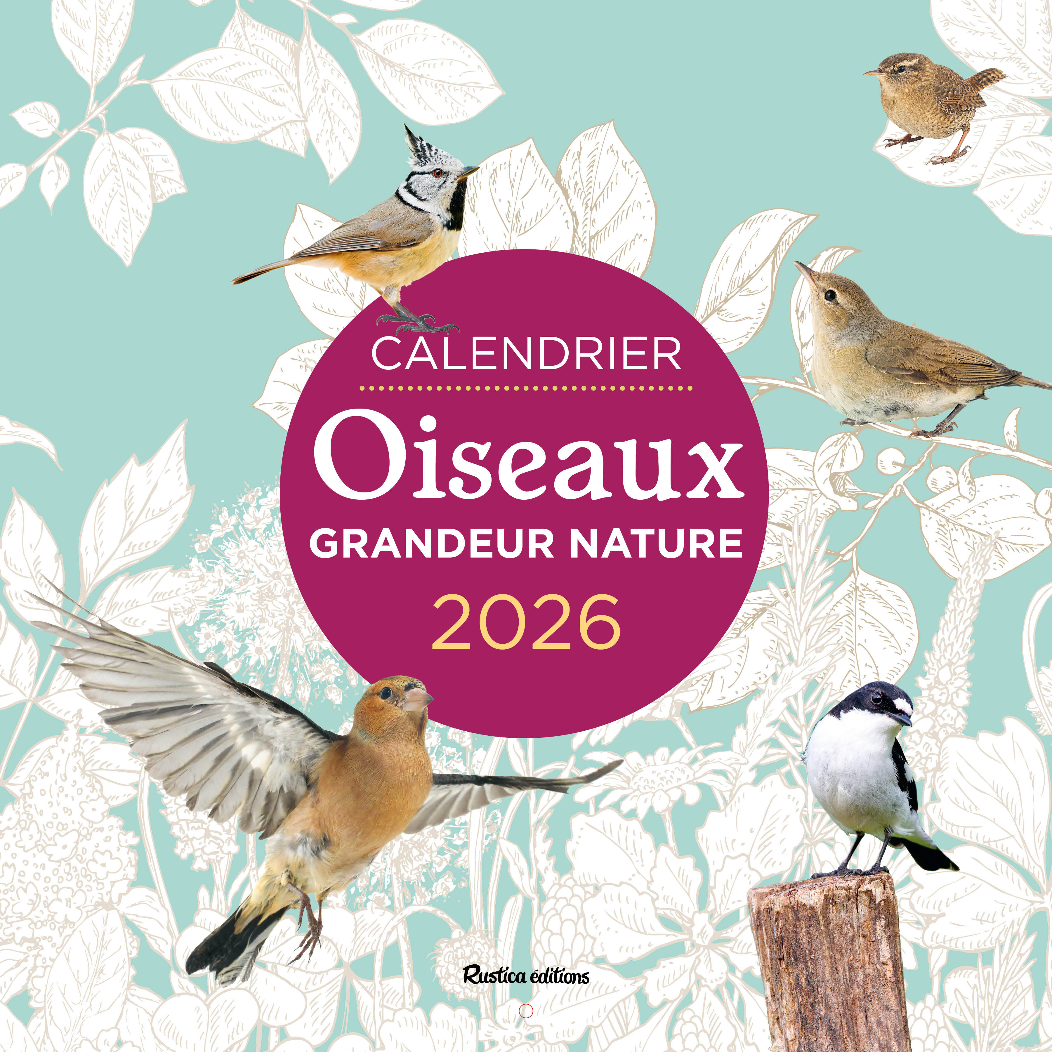 Calendrier Oiseaux grandeur nature 2026