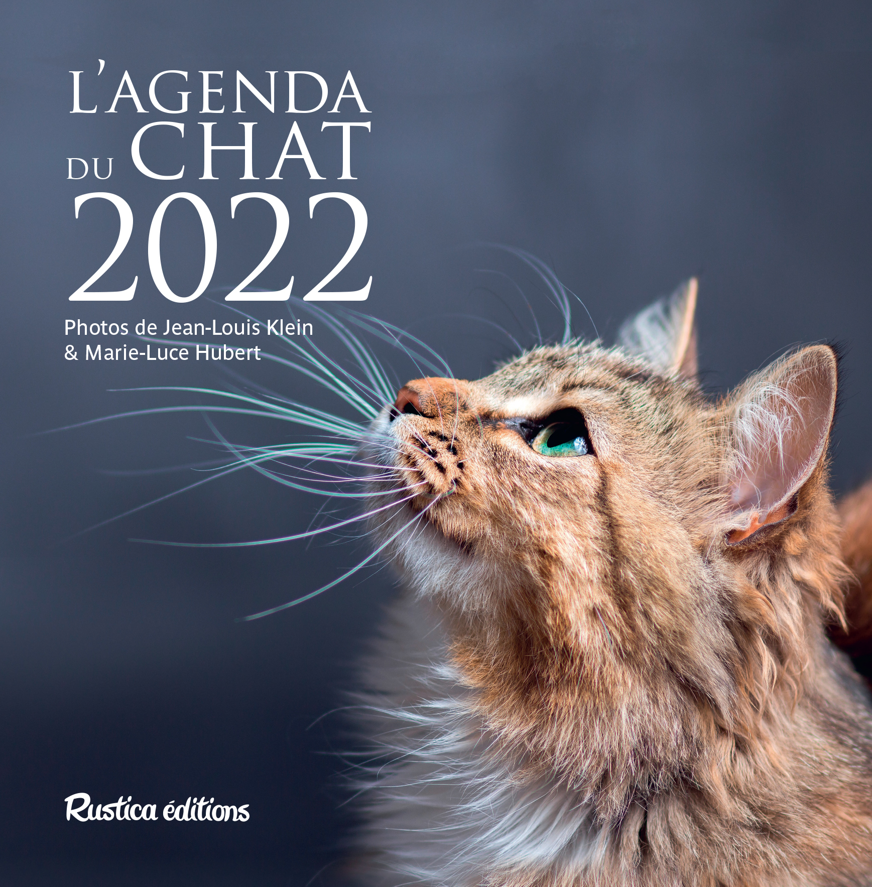 L'agenda du chat 2022