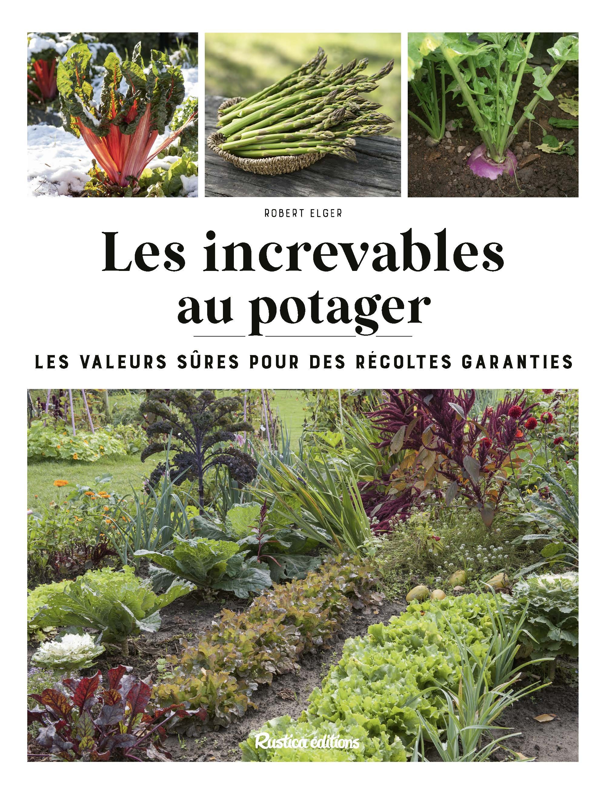 Les increvables au potager