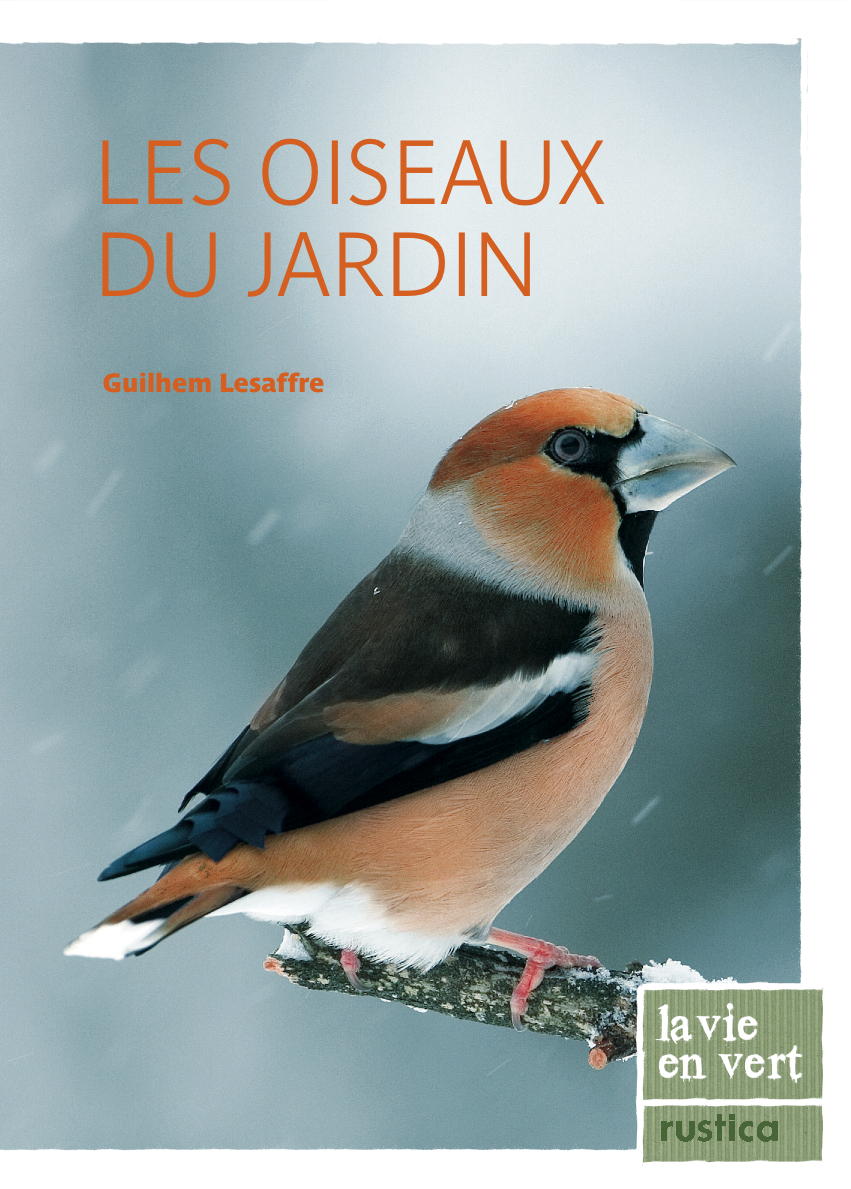 Les oiseaux du jardin