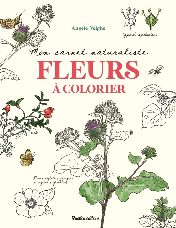 Mon carnet naturaliste Fleurs à colorier