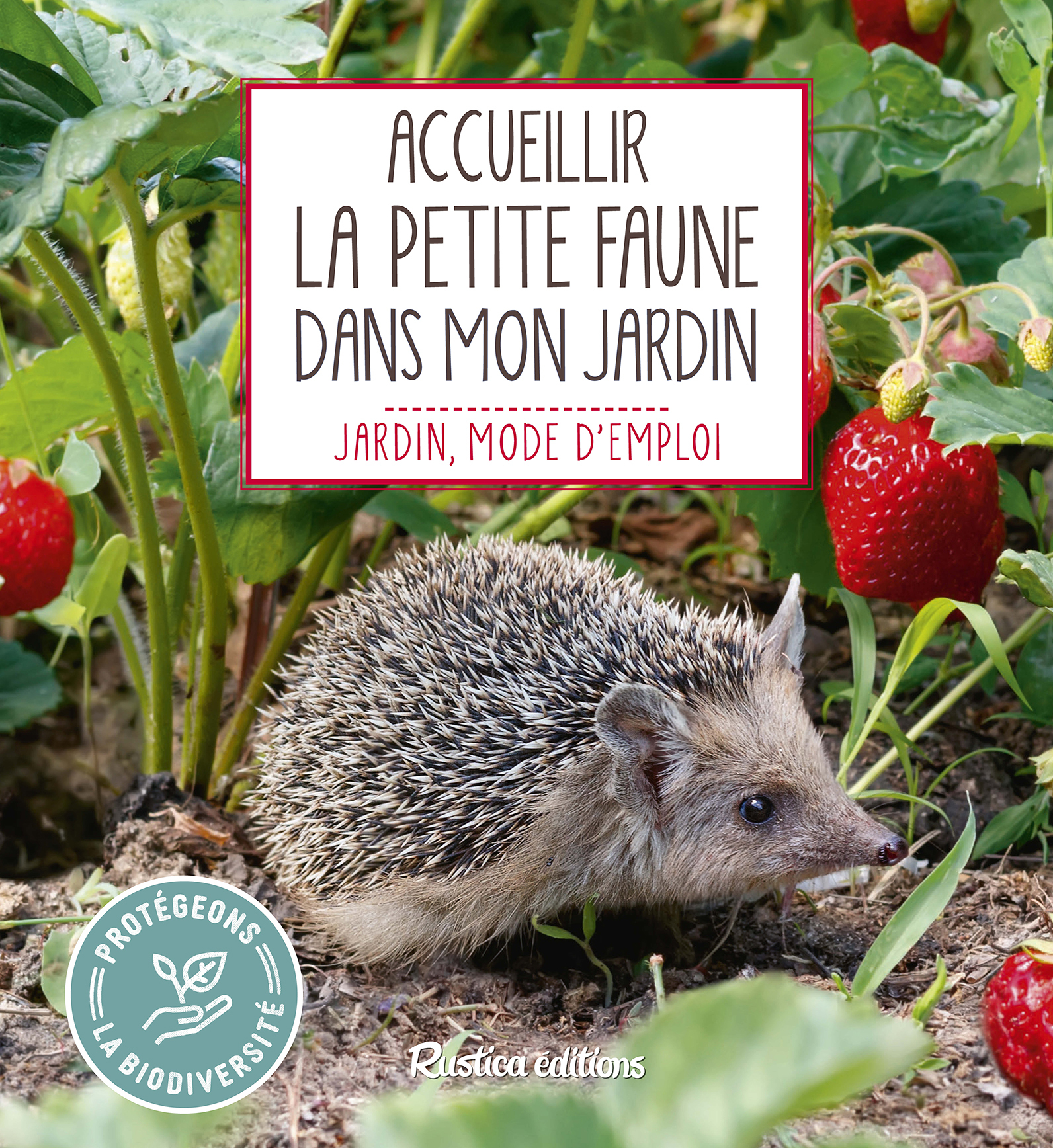 Accueillir la petite faune dans mon jardin