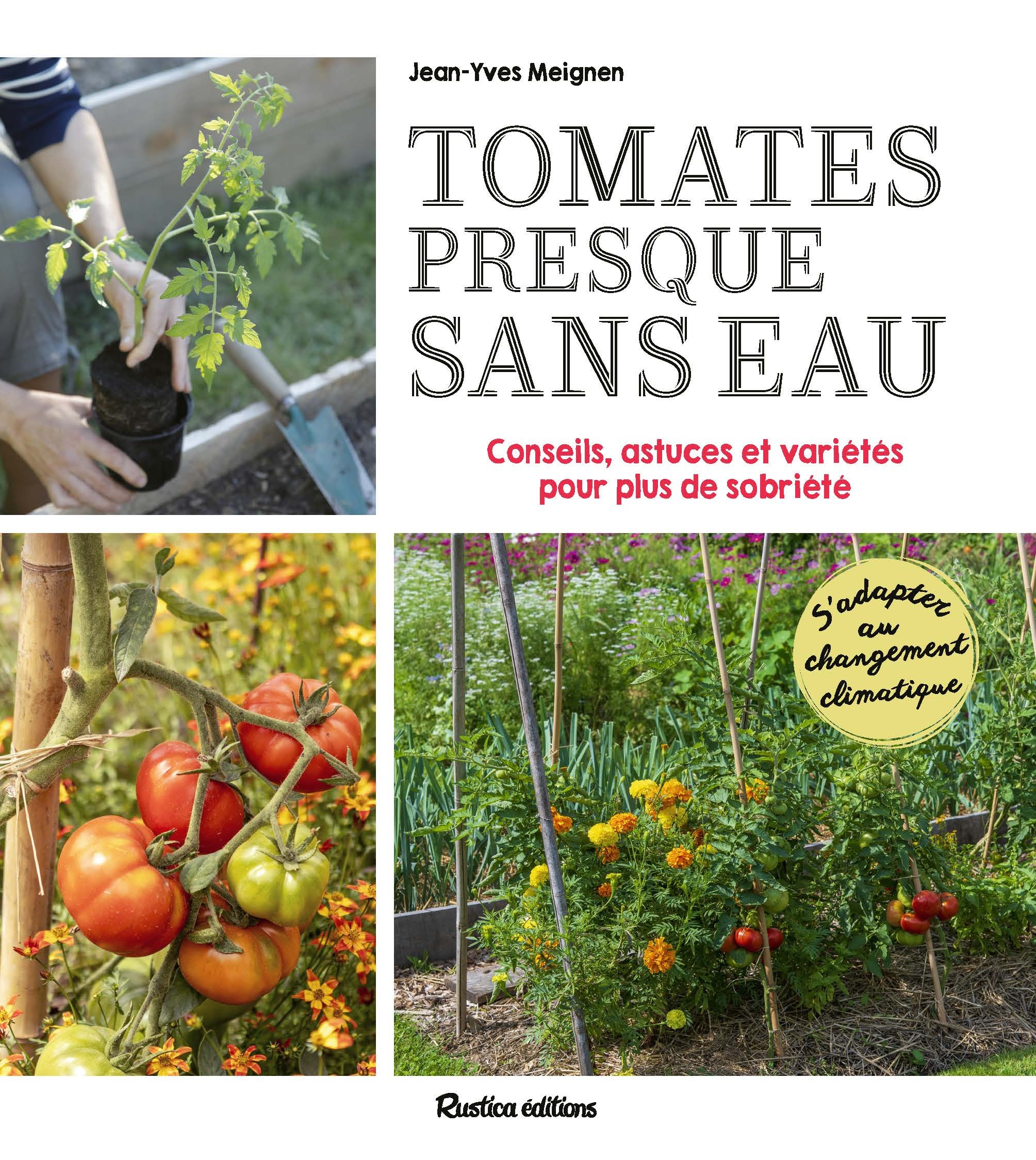 Tomates presque sans eau
