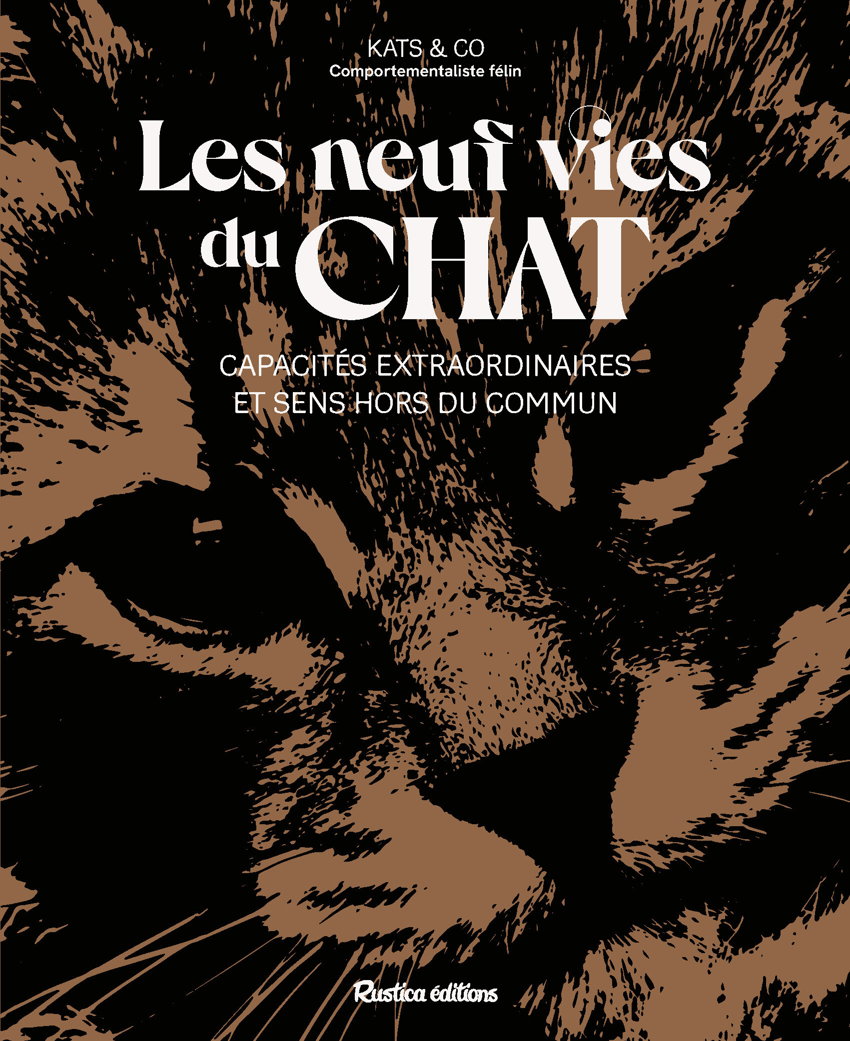 Les neuf vies du chat : entre capacités extraordinaires et sens hors du commun