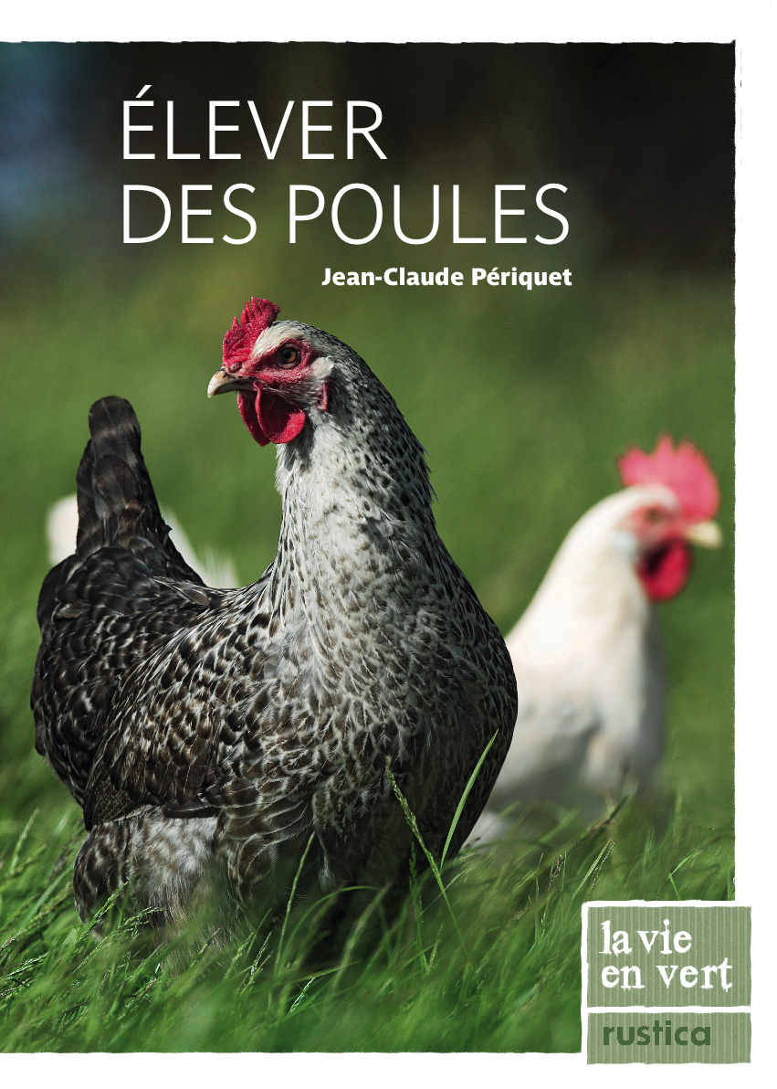 Élever des poules