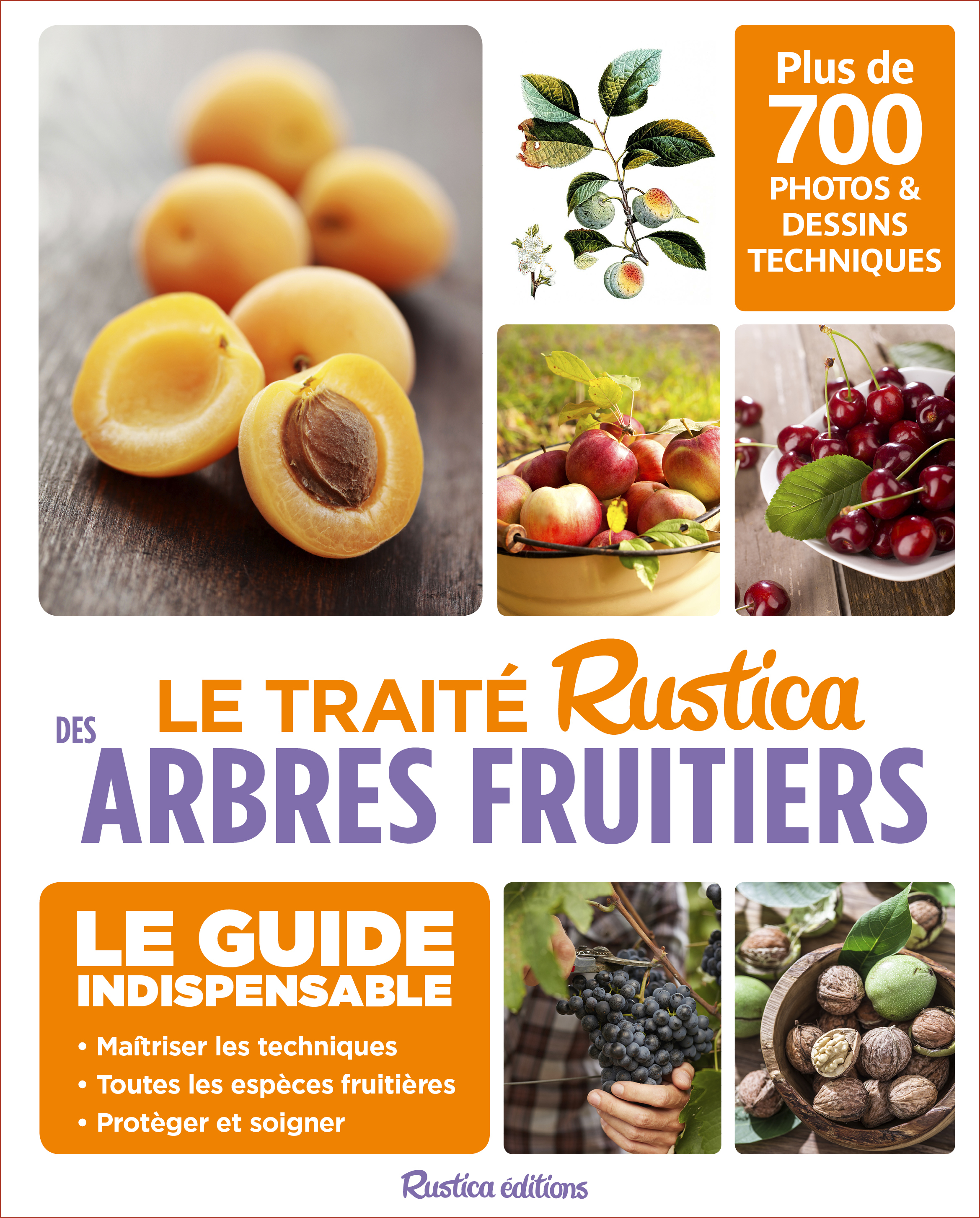 Le traité Rustica des arbres fruitiers
