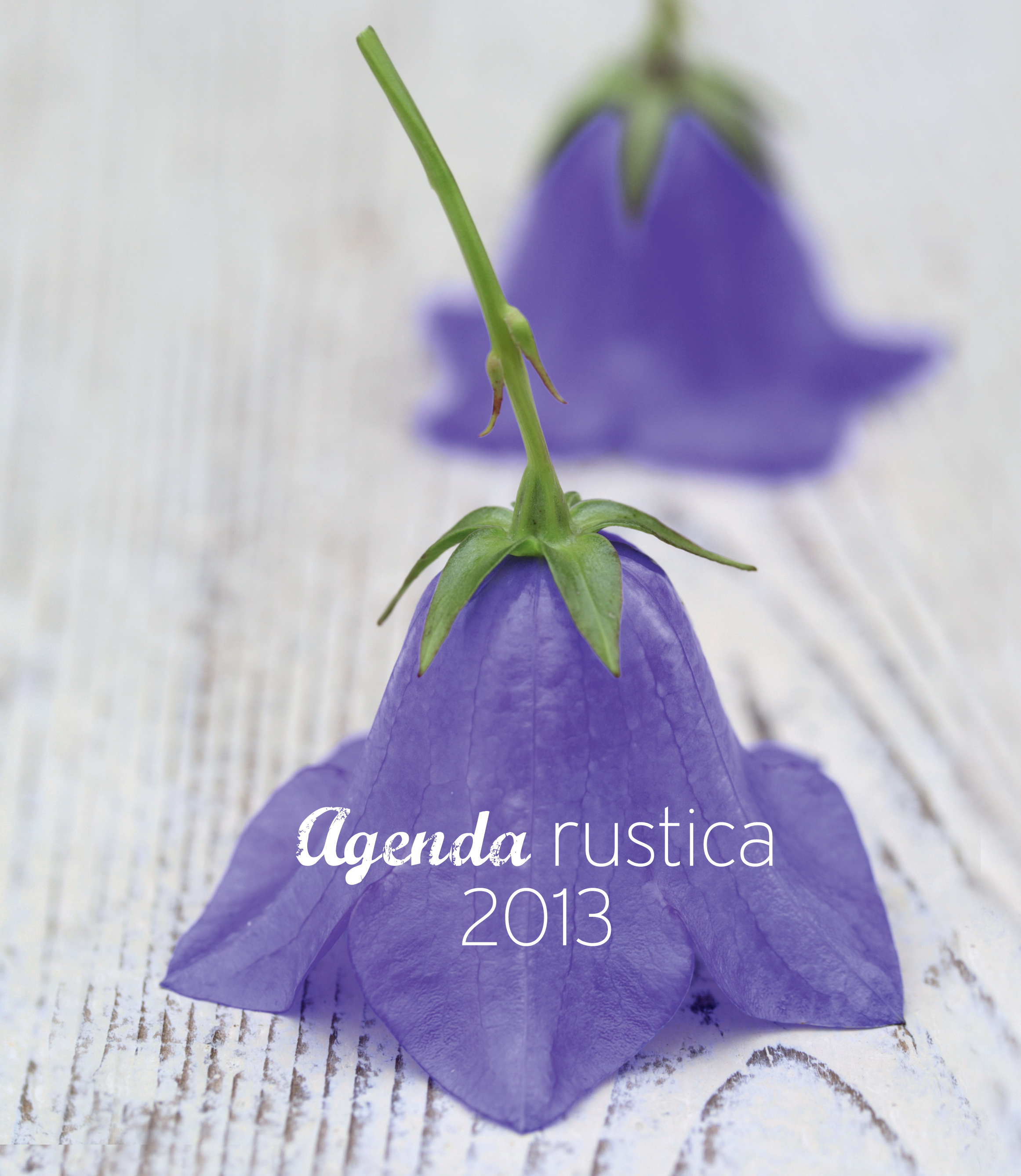 L'AGENDA RUSTICA 2013