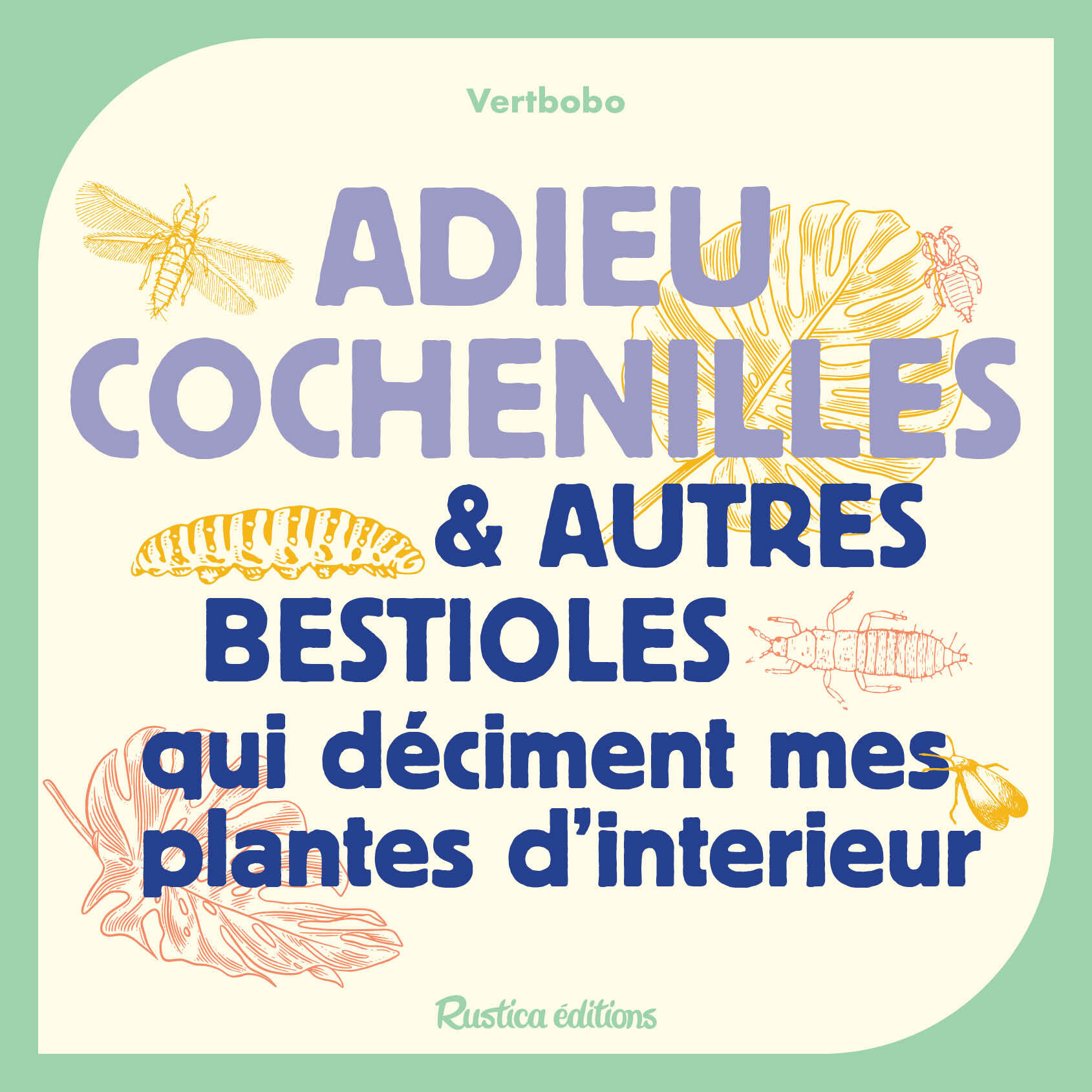 Adieu cochenilles et autres bestioles qui déciment mes plantes d'intérieur