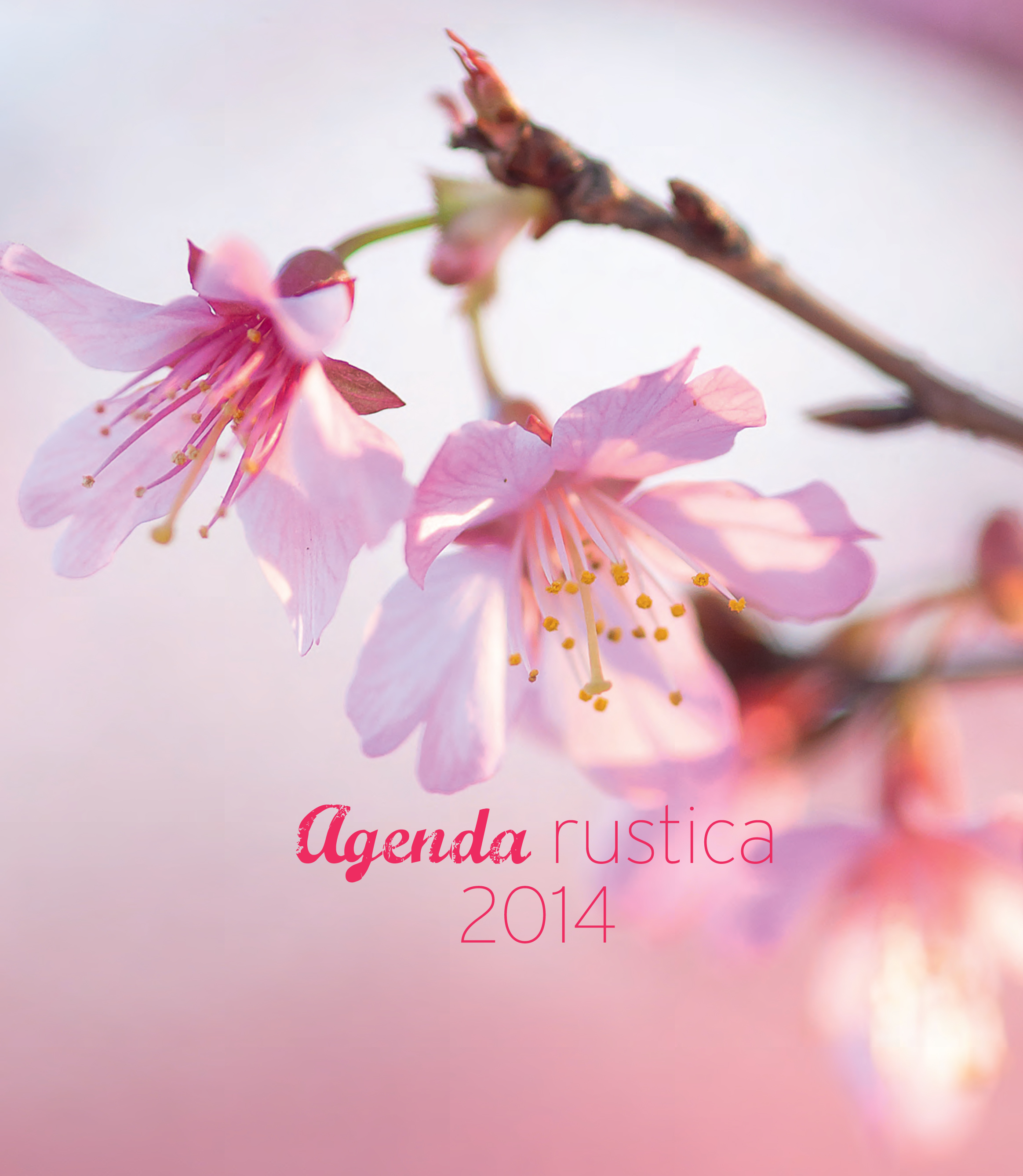 L'AGENDA RUSTICA 2014