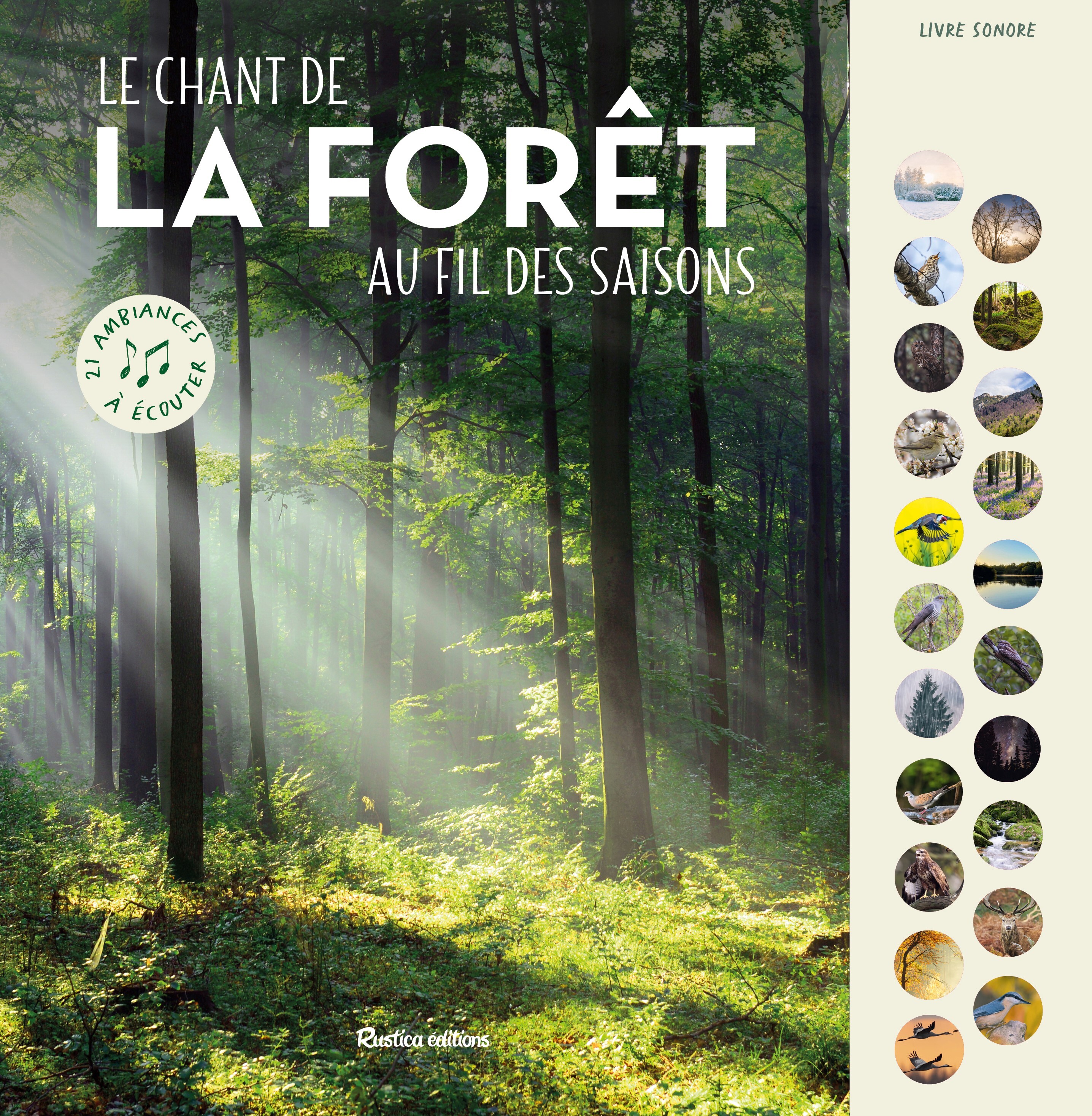 Le chant de la forêt au fil des saisons