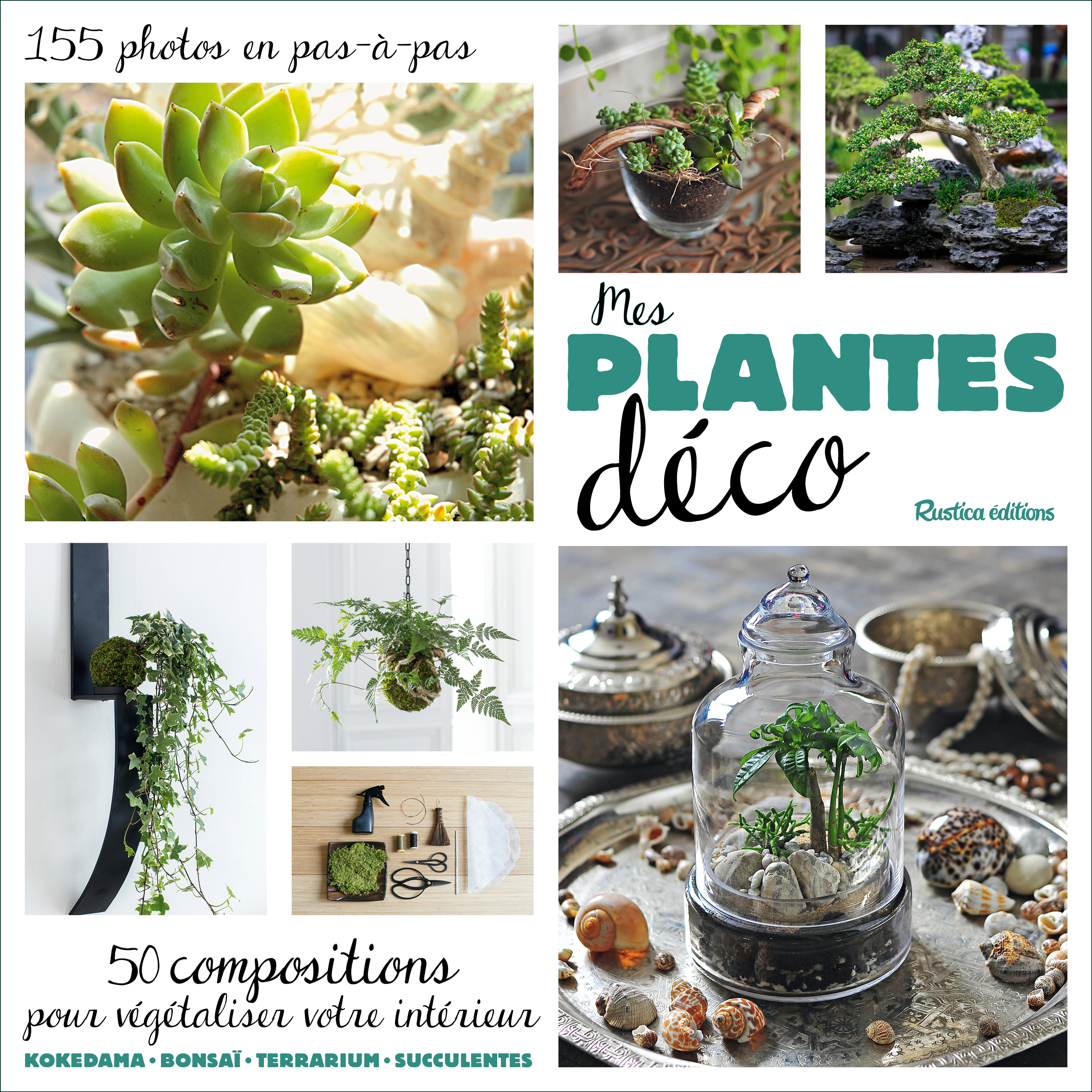 MES PLANTES DECO 155 PHOTOS EN PAS A PAS