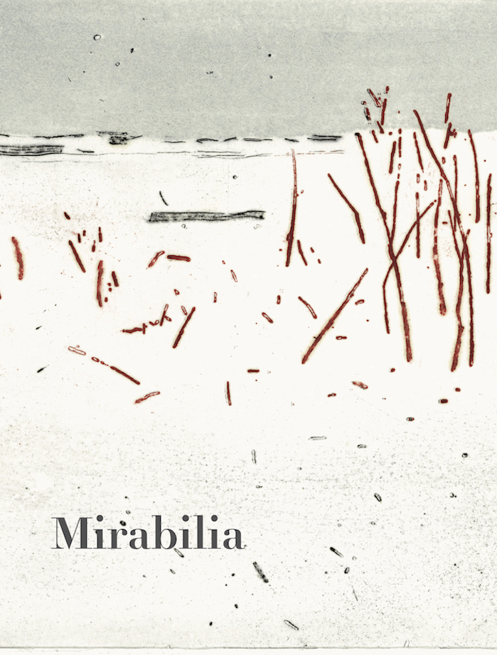 Mirabilia n°17 : La Patience - Hiver 2023