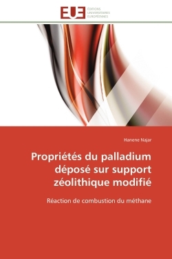 Propriétés du palladium déposé sur support zéolithique modifié