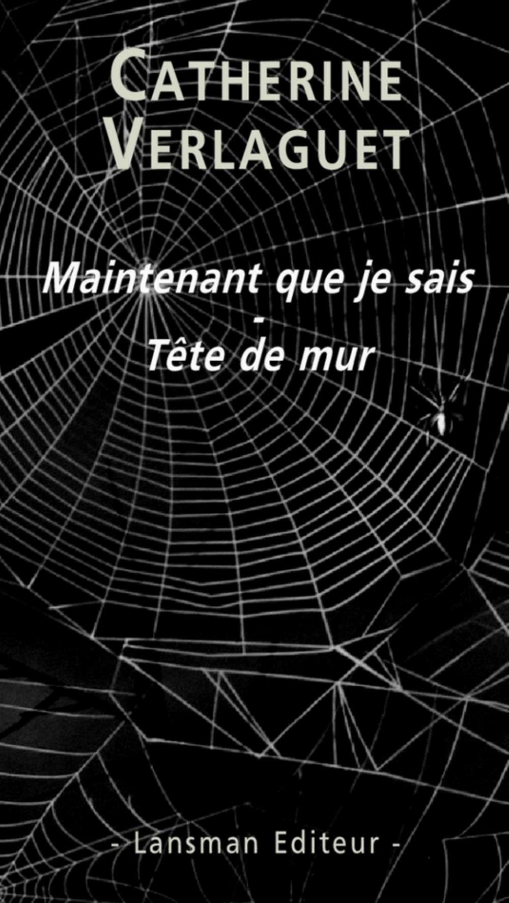 MAINTENANT QUE JE SAIS-TETE DE MUR