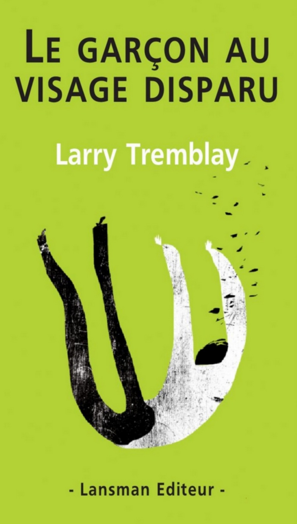 LE GARCON AU VISAGE DISPARU