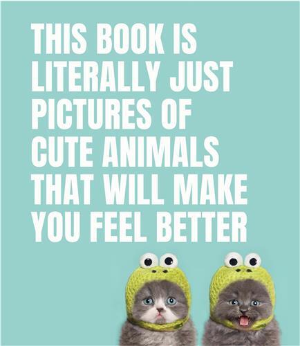 This Book Is Literally Just Pictures of Cute Animals That Will Make You Feel Better /anglais
