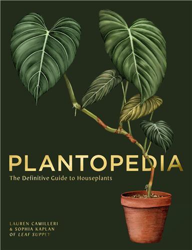 Plantopedia: The Definitive Guide to House Plants /anglais
