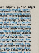 Cornelia Parker /anglais