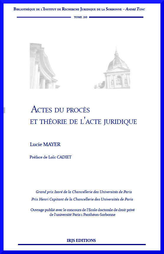 Actes du procès et théorie de l'acte juridique