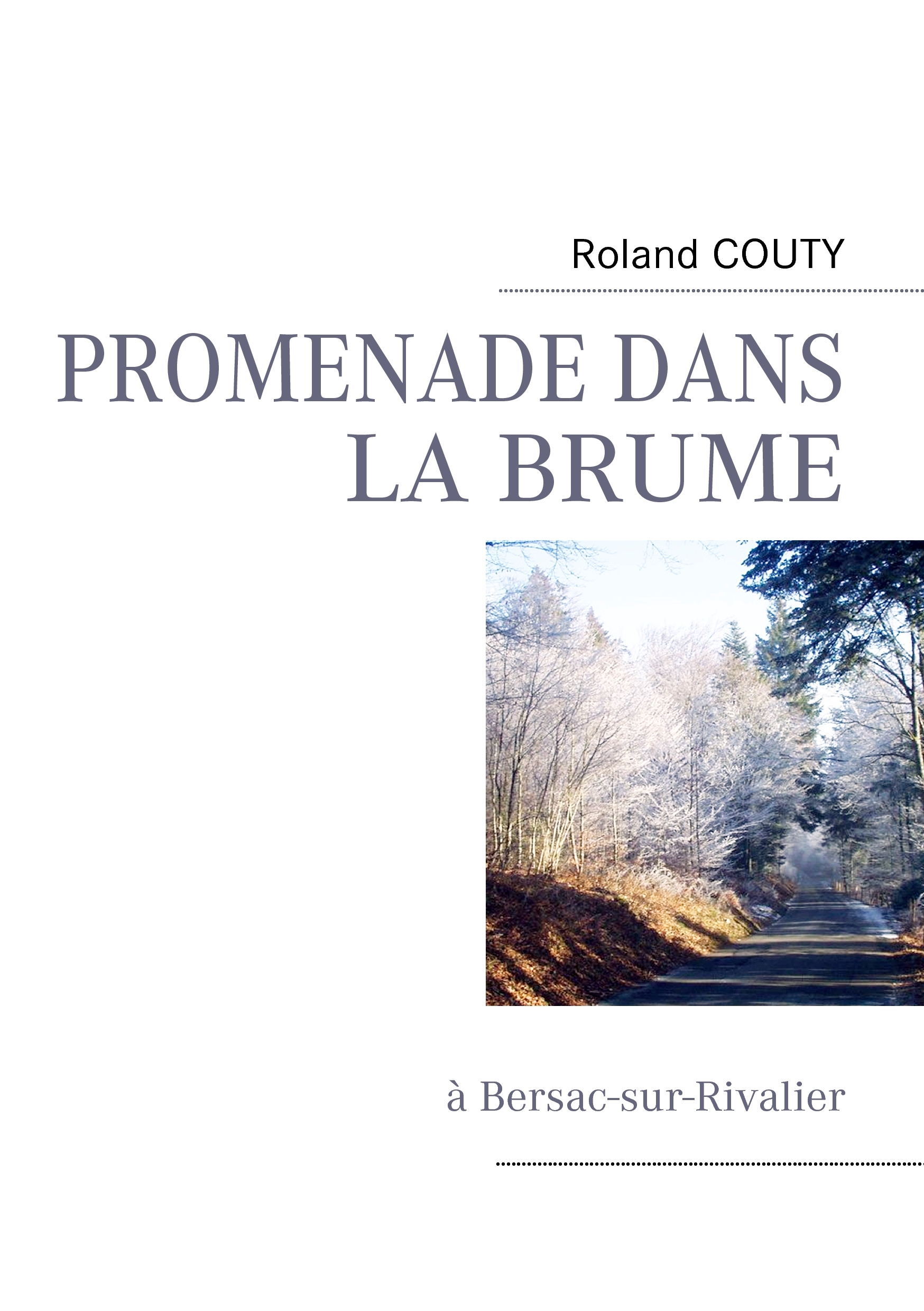PROMENADE DANS LA BRUME