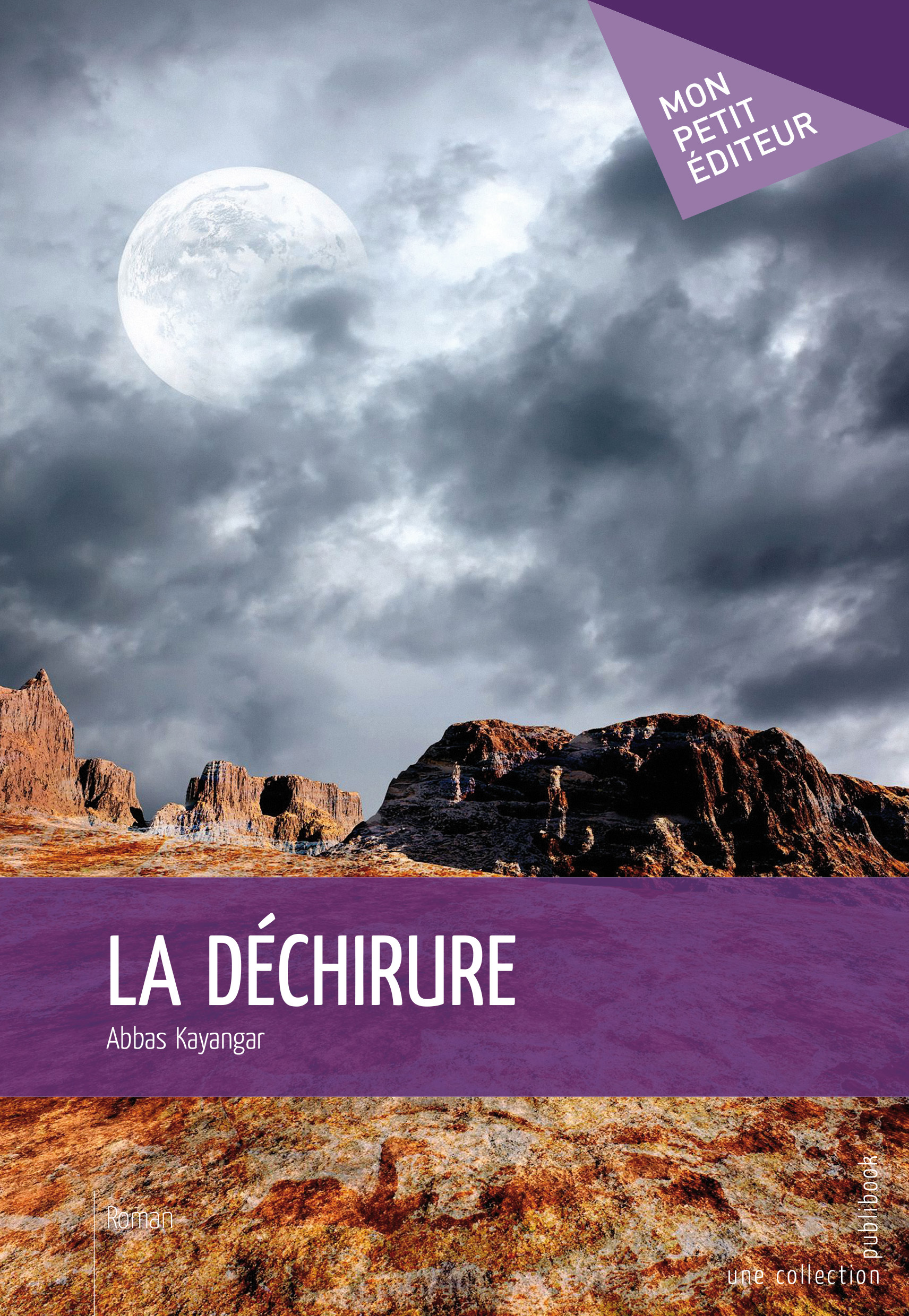 LA DECHIRURE