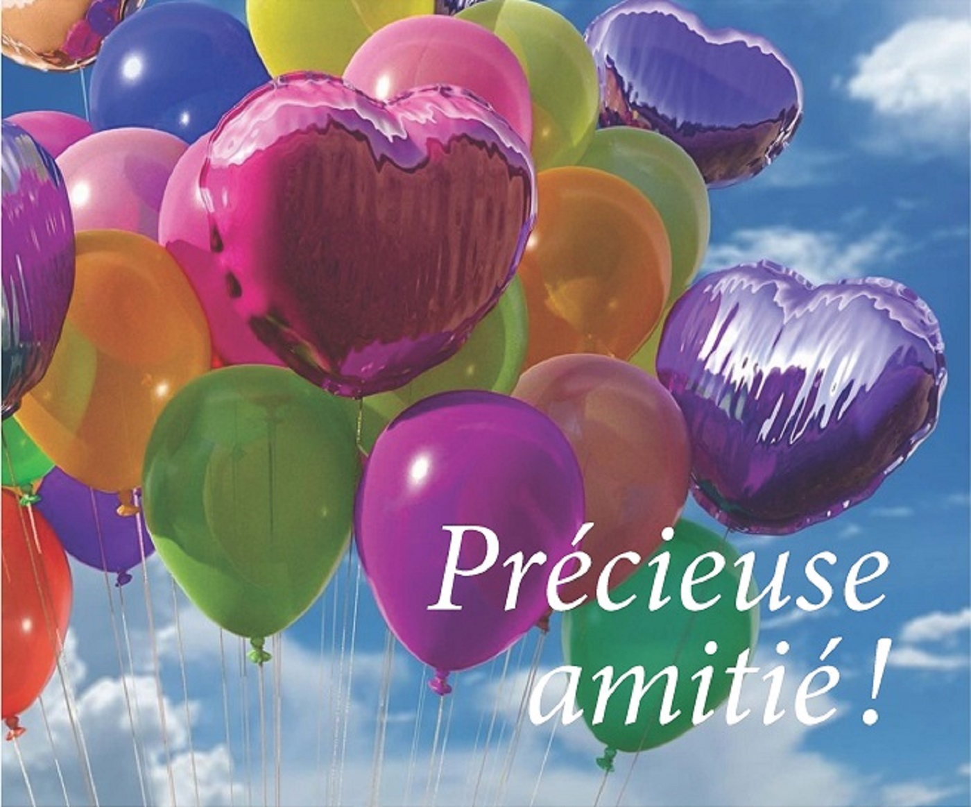 Pack Précieuse amitié 5ex MP147