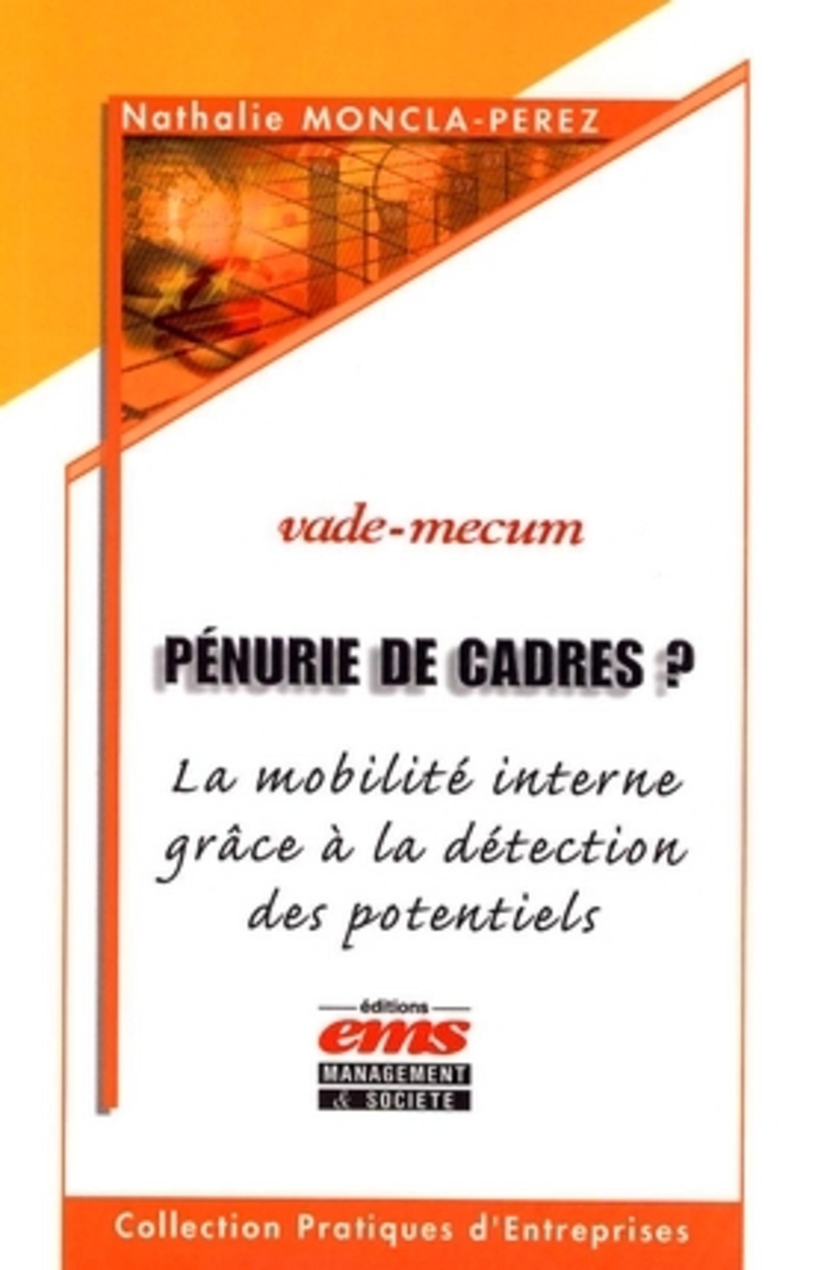 PENURIE DE CADRES ? LA MOBILITE INTERNE GRACE A LA DETECTIONDES POTENTIELS. VADE