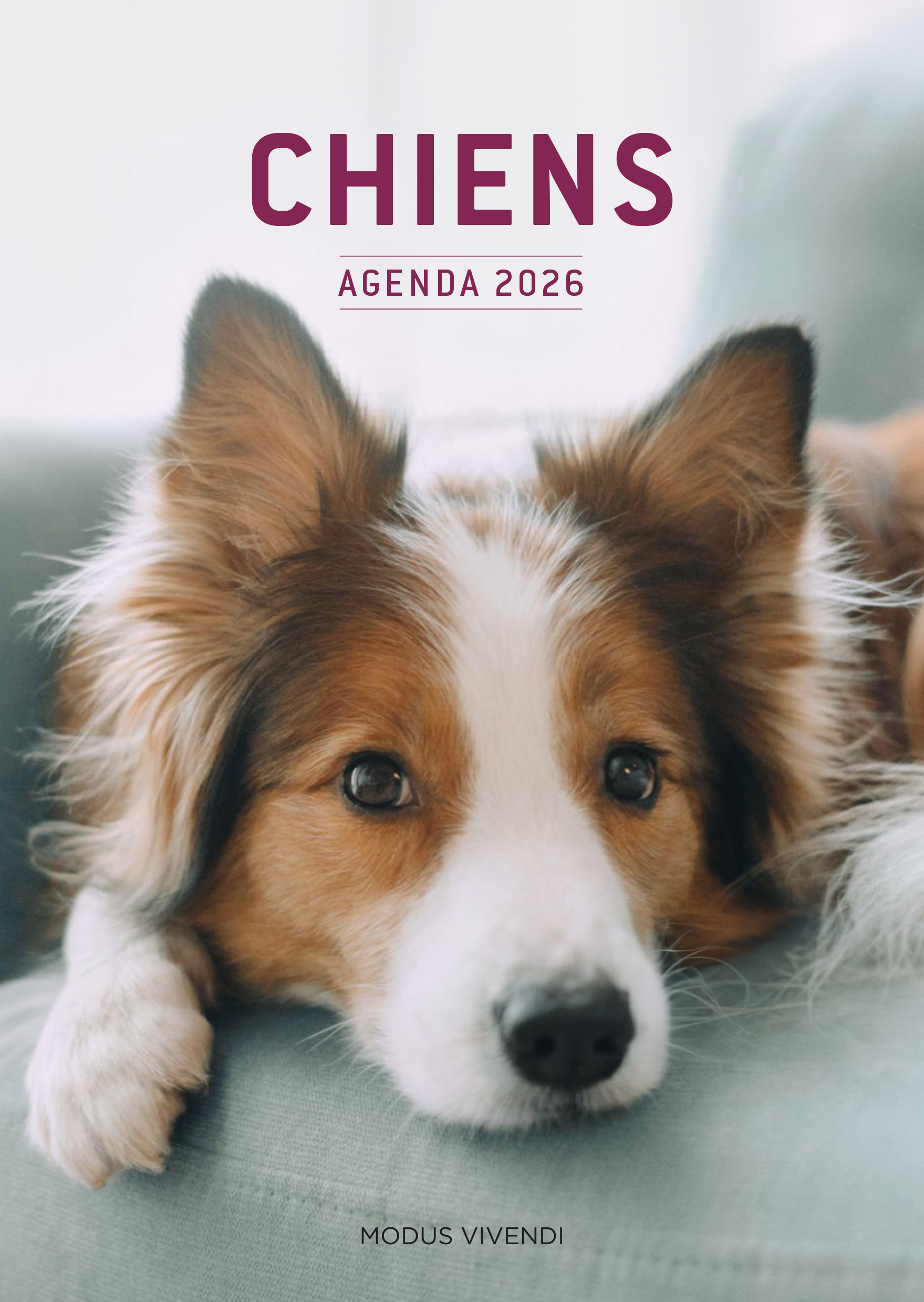 Chiens - Agenda 2026