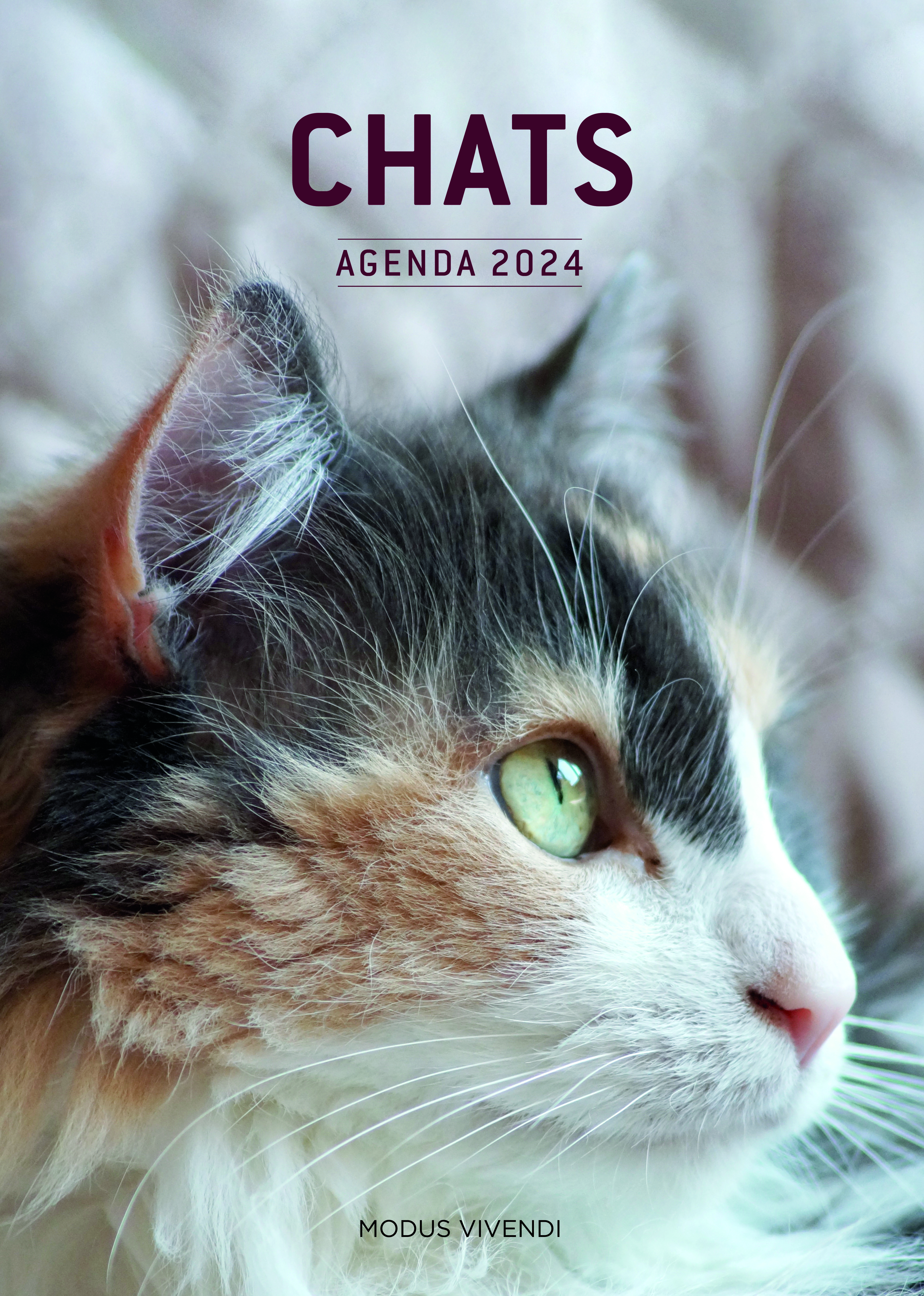 Chats - Agenda 2024