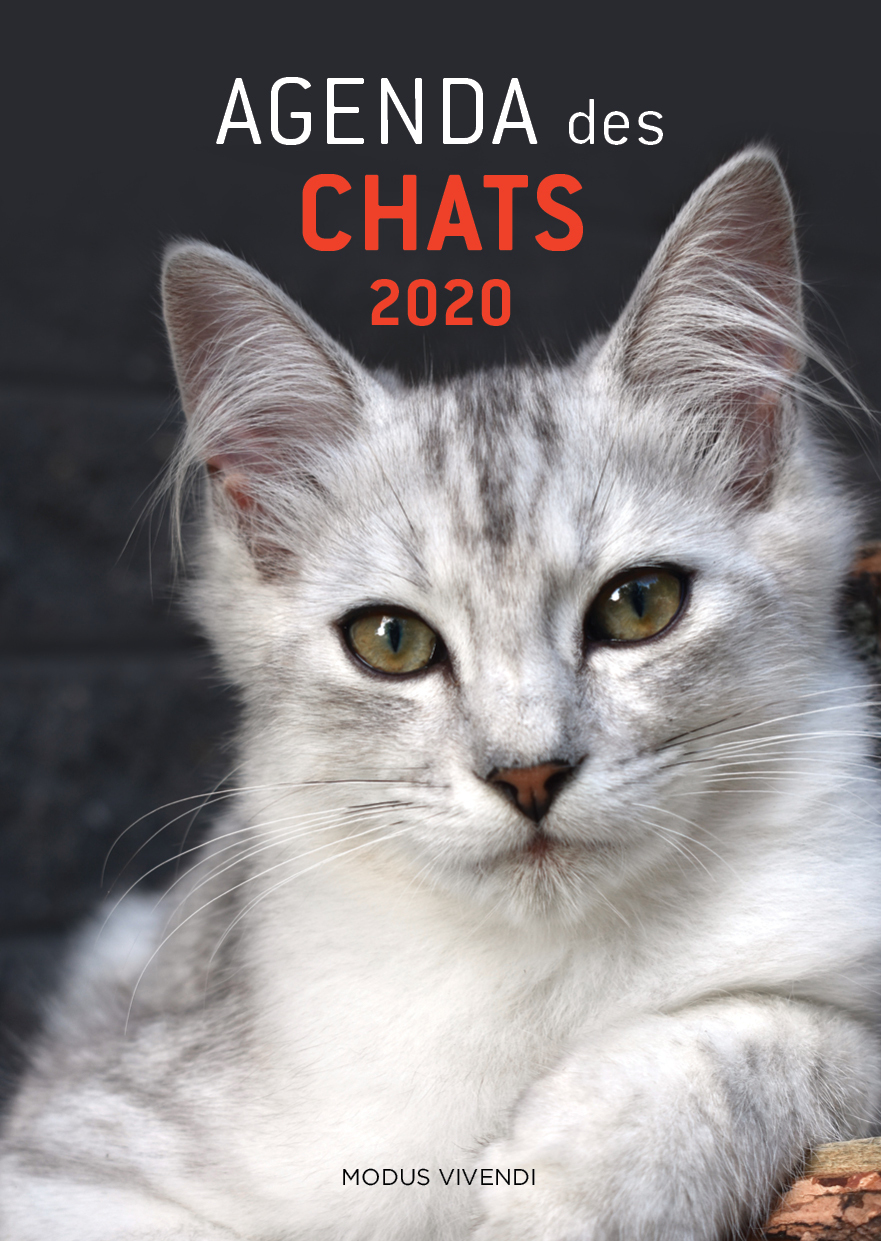 Agenda des chats 2020