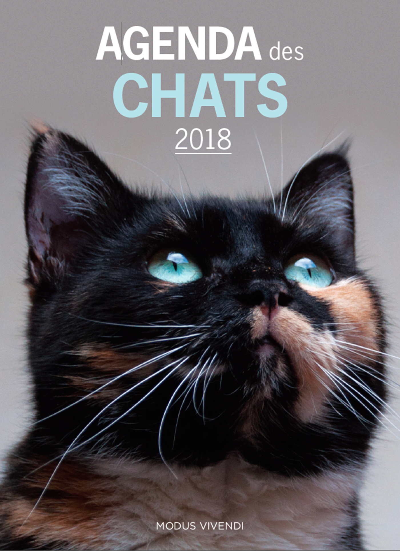 Agenda des chats 2018