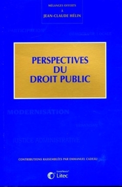 perspectives du droit public