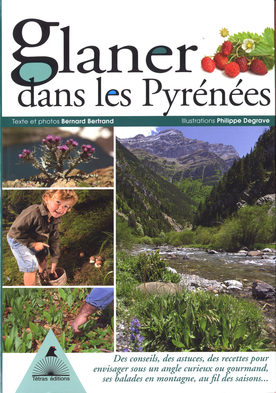 Glaner dans les Pyrénées - des conseils, des astuces, des recettes pour envisager sous un angle curieux ou gourmand, ses balade