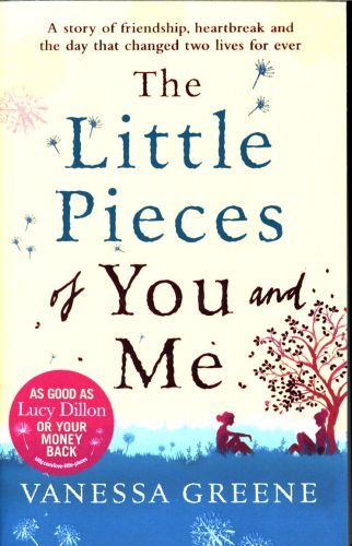 The Little Pieces of You and Me