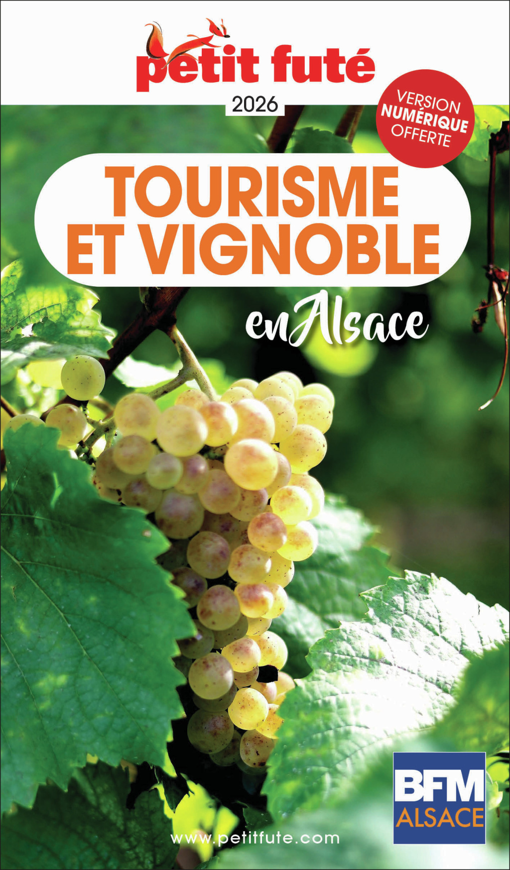 Guide Tourisme Et Vignoble En Alsace 2026/2027 Petit Futé
