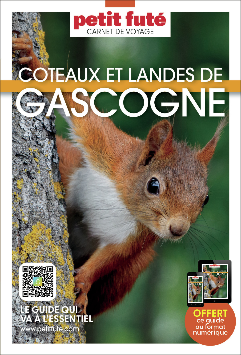 Guide Coteaux Et Landes De Gascogne 2025 Carnet Petit Futé