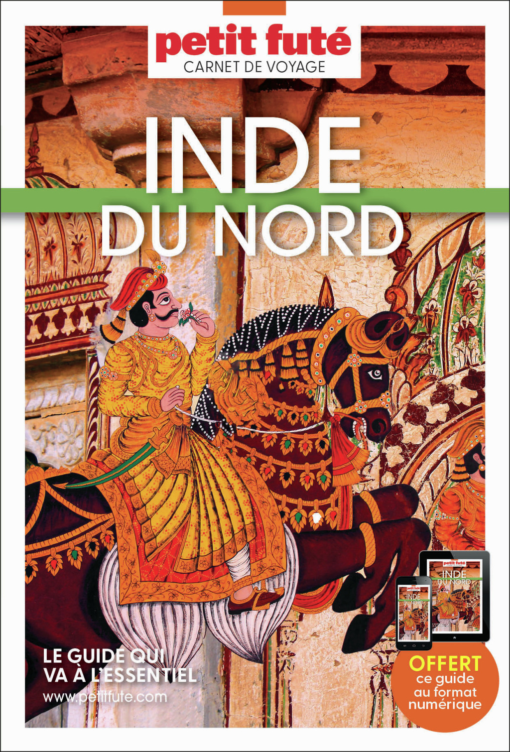 Guide Inde Du Nord 2026 Carnet Petit Futé