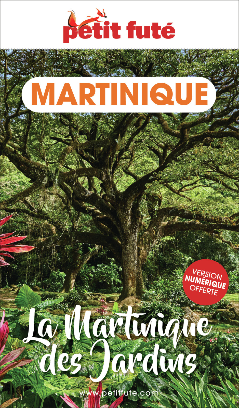 Guide Martinique Des Jardins 2024 Petit Futé