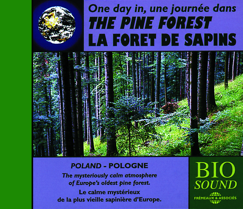 UNE JOURNEE DANS LA FORET DE SAPINS (PIERRE HUGUET)